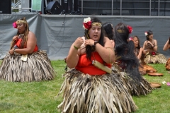 DSC_0508_1024x768 DSC_0508_1024x768