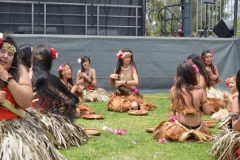 DSC_0509_1024x768 DSC_0509_1024x768