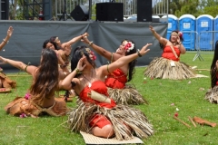 DSC_0514_1024x768 DSC_0514_1024x768