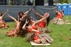 DSC_0515_1024x768 DSC_0515_1024x768