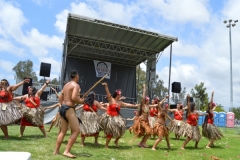 DSC_0537_1024x768 DSC_0537_1024x768