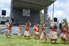 DSC_0540_1024x768 DSC_0540_1024x768