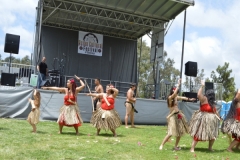 DSC_0541_1024x768 DSC_0541_1024x768