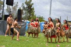 DSC_0550_1024x768 DSC_0550_1024x768