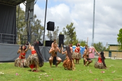 DSC_0565_1024x768 DSC_0565_1024x768