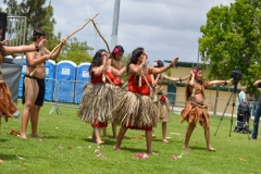 DSC_0581_1024x768 DSC_0581_1024x768