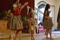 DSC_0050_1024x768 DSC_0050_1024x768