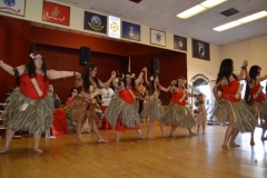 DSC_0786_1024x768 DSC_0786_1024x768