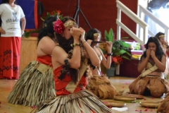 DSC_0978_1024x768 DSC_0978_1024x768
