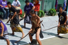DSC_0332_1024x768