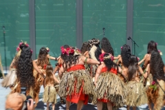 DSC_0510_1024x768 DSC_0510_1024x768