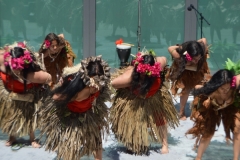 DSC_0520_1024x768 DSC_0520_1024x768