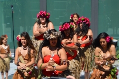 DSC_0522_1024x768 DSC_0522_1024x768