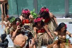 DSC_0533_1024x768 DSC_0533_1024x768