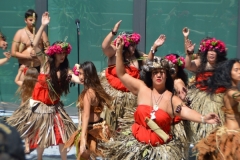 DSC_0535_1024x768 DSC_0535_1024x768