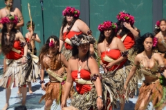DSC_0536_1024x768 DSC_0536_1024x768