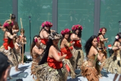 DSC_0539_1024x768 DSC_0539_1024x768