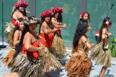 DSC_0557_1024x768 DSC_0557_1024x768