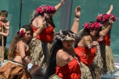 DSC_0559_1024x768 DSC_0559_1024x768