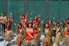 DSC_0564_1024x768 DSC_0564_1024x768
