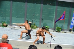 DSC_0605_1024x768