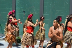 DSC_0630_1024x768