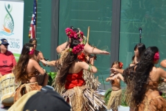 DSC_0679_1024x768