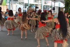 DSC_0023_1024x768 DSC_0023_1024x768