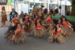 DSC_0050_1024x768 DSC_0050_1024x768