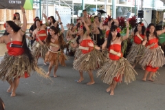DSC_0052_1024x768 DSC_0052_1024x768