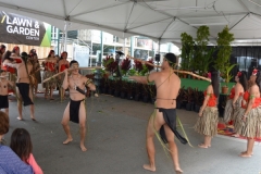 DSC_0128_1024x768 DSC_0128_1024x768