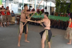 DSC_0133_1024x768 DSC_0133_1024x768