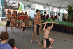 DSC_0136_1024x768 DSC_0136_1024x768