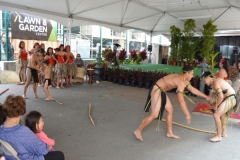 DSC_0141_1024x768 DSC_0141_1024x768