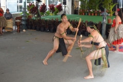 DSC_0147_1024x768 DSC_0147_1024x768