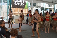 DSC_0160_1024x768 DSC_0160_1024x768