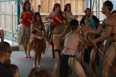 DSC_0164_1024x768 DSC_0164_1024x768