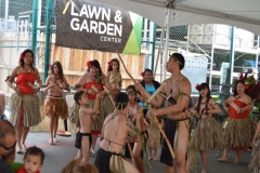 DSC_0172_1024x768 DSC_0172_1024x768