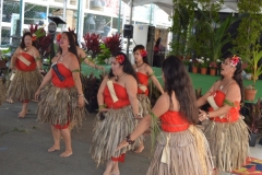 DSC_0174_1024x768 DSC_0174_1024x768