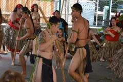 DSC_0175_1024x768 DSC_0175_1024x768