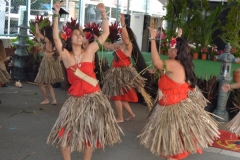 DSC_0178_1024x768 DSC_0178_1024x768