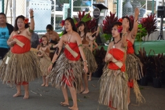 DSC_0184_1024x768 DSC_0184_1024x768