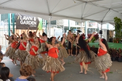 DSC_0191_1024x768 DSC_0191_1024x768