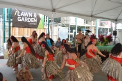 DSC_0193_1024x768 DSC_0193_1024x768