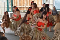 DSC_0195_1024x768 DSC_0195_1024x768