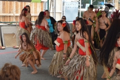 DSC_0198_1024x768 DSC_0198_1024x768