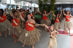 DSC_0244_1024x768 DSC_0244_1024x768