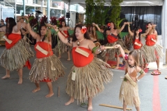 DSC_0245_1024x768 DSC_0245_1024x768