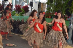DSC_0287_1024x768