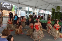 DSC_0291_1024x768 DSC_0291_1024x768